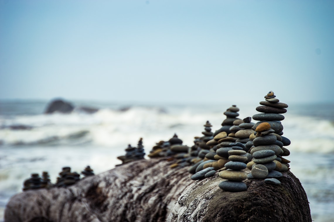 Photo by Tyler Milligan / Unsplash