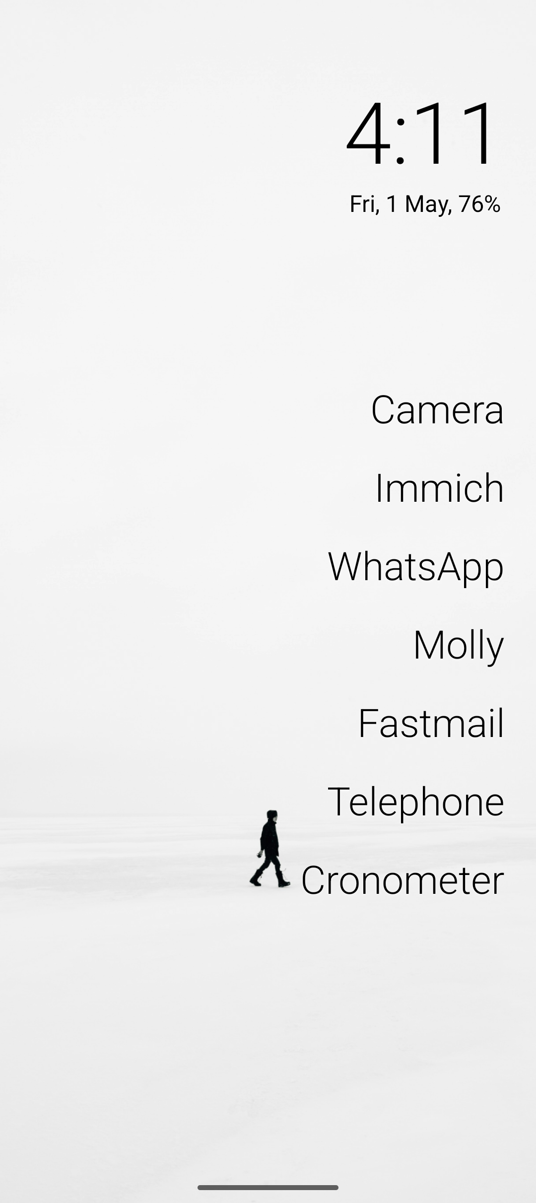 The dumb-ish phone homescreen — Camera, Immich, WhatsApp, Molly, Fastmail, Telephone, Cronometer
