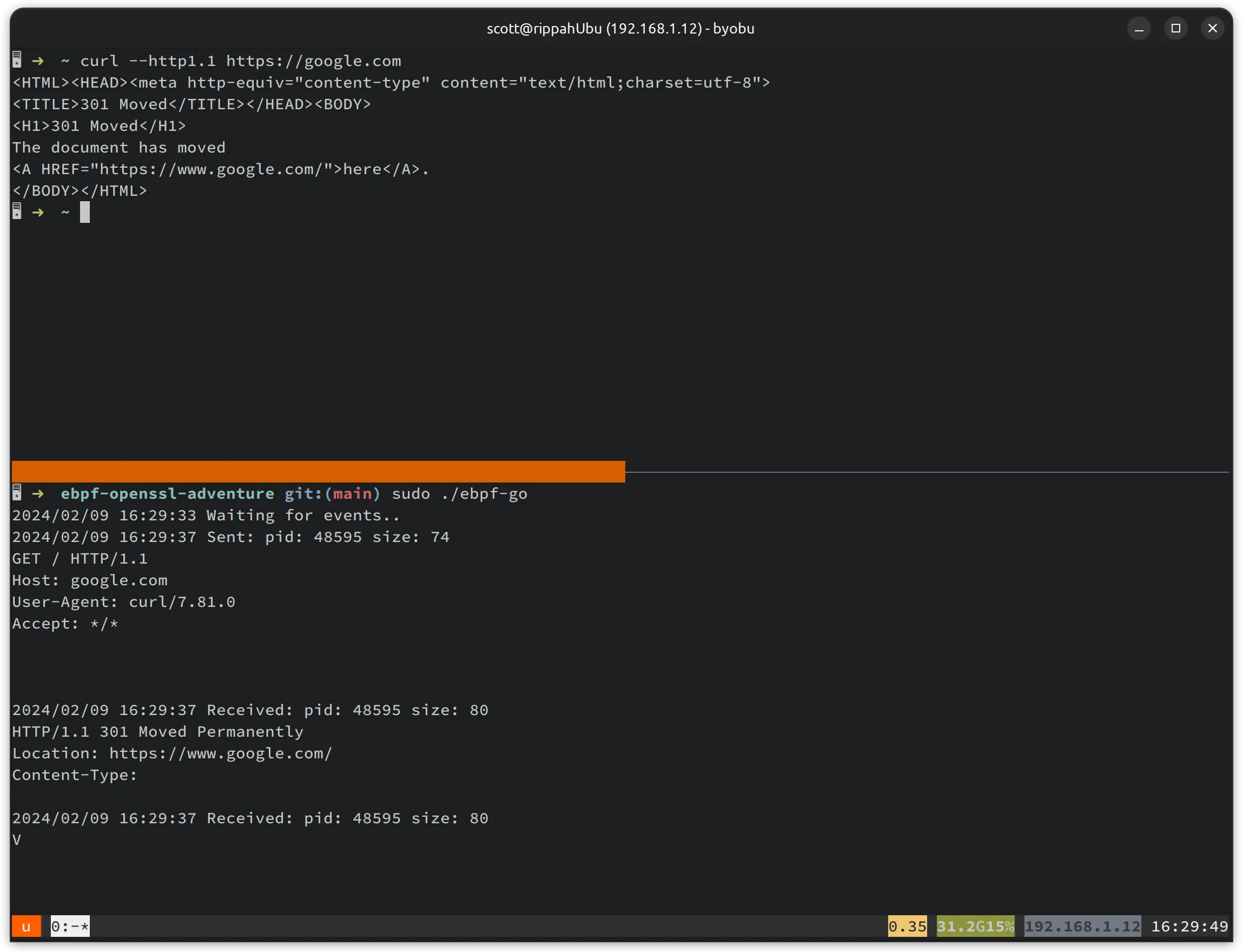 dumping unencrypted curl traffic